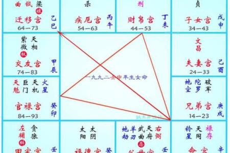 紫薇斗数怎么看有没有孩子