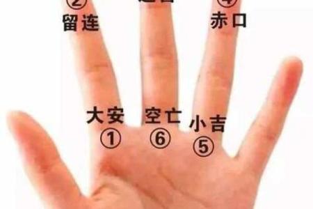 手掌算命