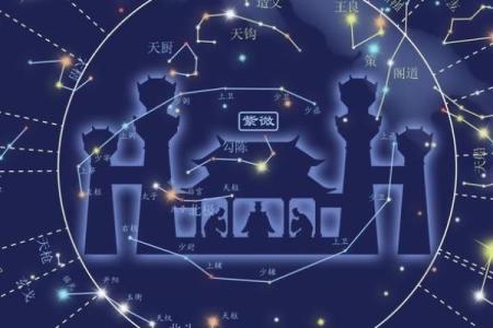 紫微斗数之兄弟宫与诸星,破军星在兄弟宫是什么意思？