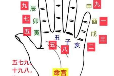 八字命盘自动解读