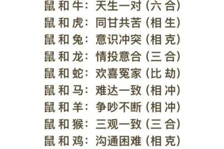 属龙的跟属龙的结婚属上等婚吗 配对要注意什么