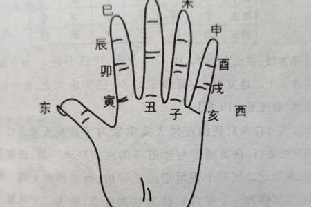 八字天干的根