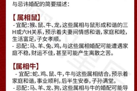 属猴的女人和什么属相最配对 属猴的女人和什么属相最配婚姻