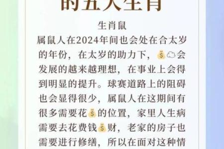 属鸡人2024年全年运势1981年多大了 属鸡人2024年全年运势1981年财运方位