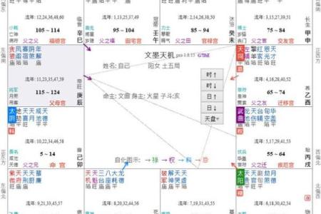 紫薇斗数命之夫