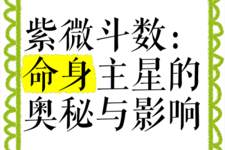 紫薇斗数夫福线