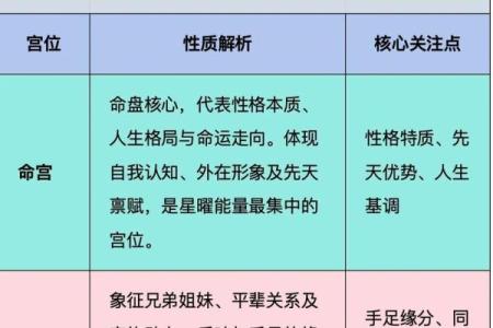 紫薇斗数视频合集