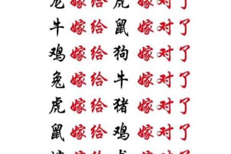 父母与子女属相配对