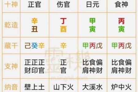 八字干支身体部位对照表