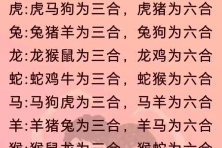 男女婚姻属相配对表 如何利用男女婚姻属相配对表选择恋爱对象