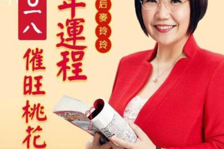 正版麦玲玲算八字语对话