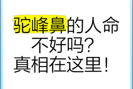 面相风水鼻头大的男人好不好是长寿命吗