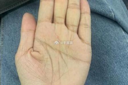 断掌算命,断掌上面还有感情线