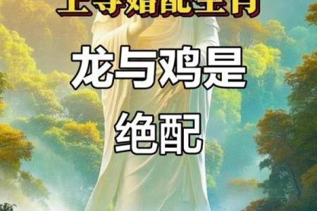 2000属龙女孩最佳婚配 与什么生肖配对最幸福