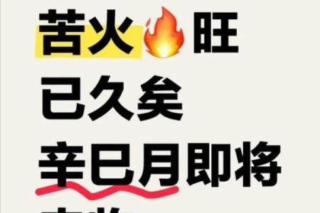 炬吉日运0815【辛亥日】：丁火不太顺心 壬水避免言辞过激