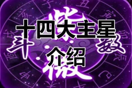高兴紫薇斗数