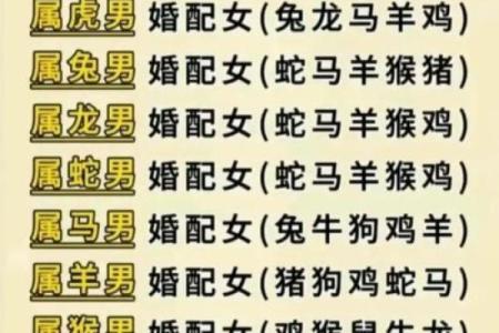 属鸡双子座与属猪处女座配对如何