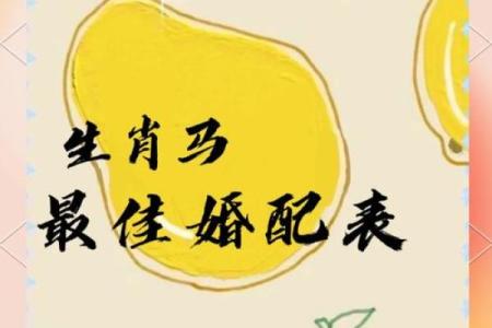 马和羊夫妻生什么生肖配对  马与羊相配