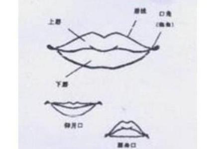 面相图解-弓丧眉算命及性格特征