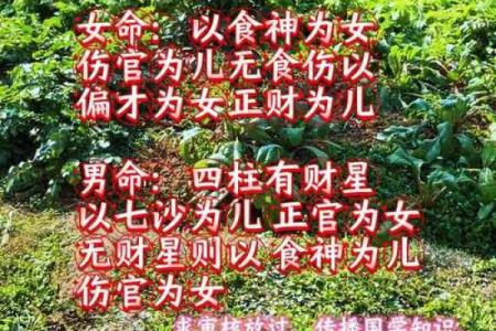 一个女人的八字案例分析，看了就知道