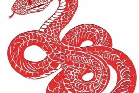 紫薇斗数蛇
