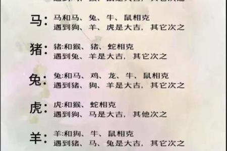 龙生肖配对大揭秘，十二生肖知识详解