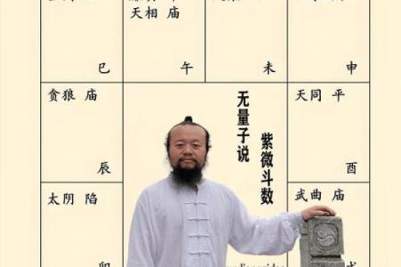 紫微斗数之诸星落命宫参断