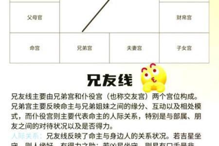 紫薇斗数小限怎么看
