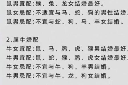 属猪正缘出现在哪年 属猪人婚姻配对表