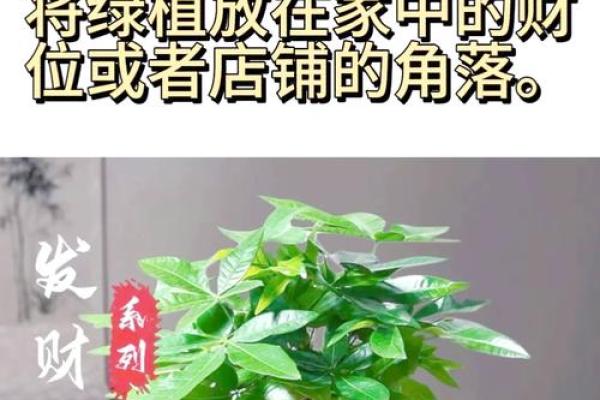 舒服又聚财，这些家居风水要学