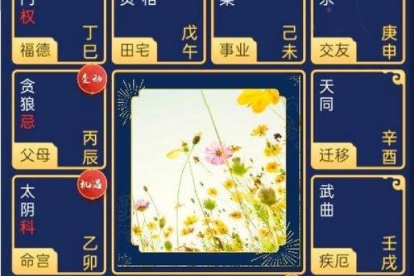 紫微斗数下世 紫微斗数!？