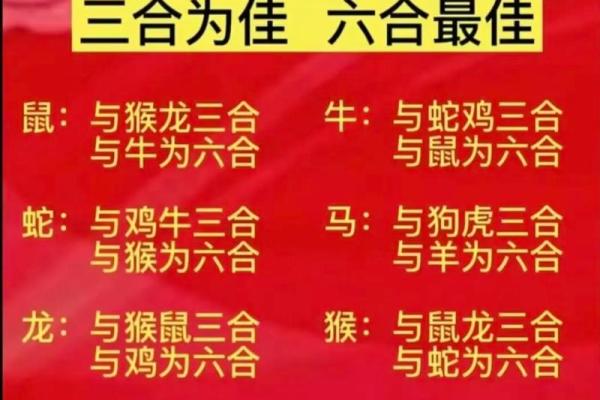 91年属什么生肖配对结婚 91年属什么动物