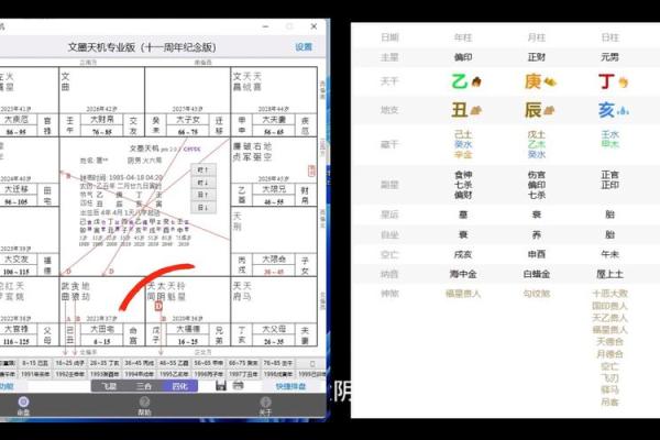 紫薇豆斗数软件