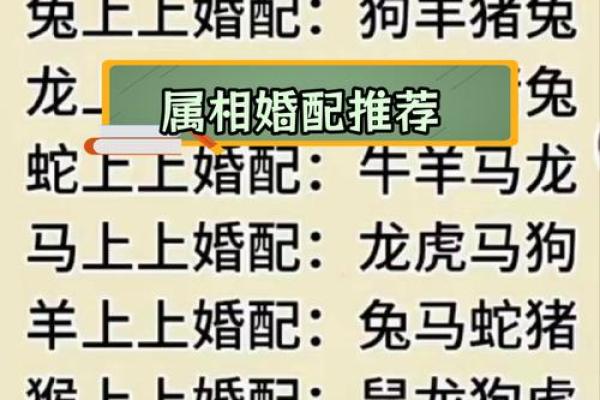 十二肖和十二生肖配对,十二生肖最佳婚配表是怎样的？