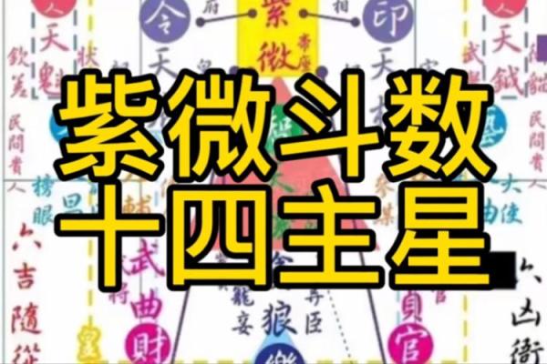 传媒公司紫薇斗数