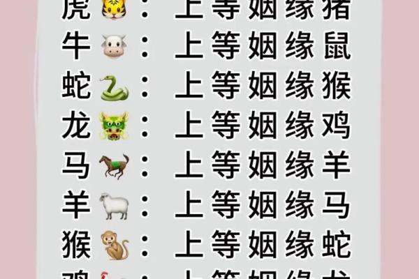 12生肖婚配属相配对查询，生肖配对查询表