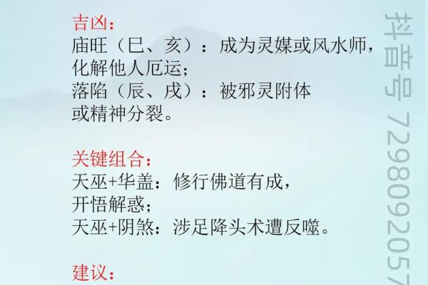 适合当艺术家的紫薇斗数