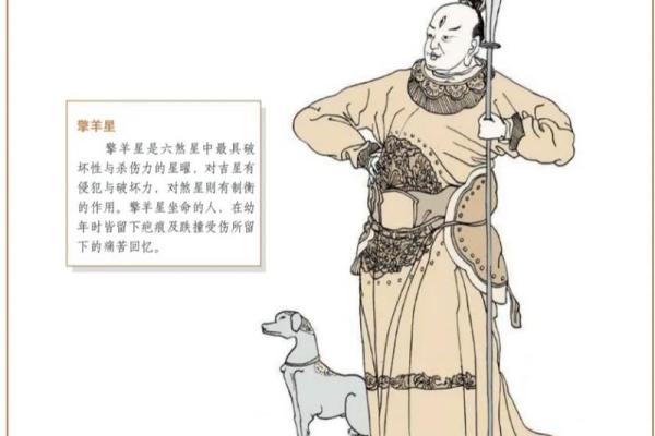 适合当艺术家的紫薇斗数