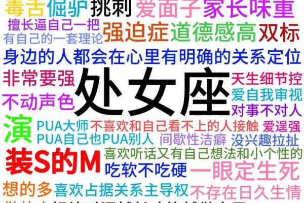 双子处女座配对分析