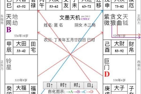 命宫紫薇斗数天巫