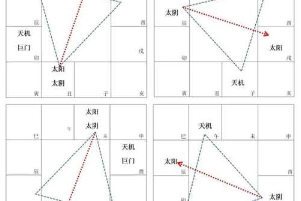 紫薇斗数生育星