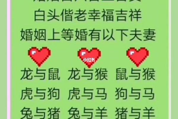 女马男蛇生肖配对姻缘