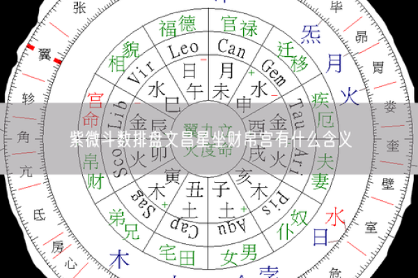 紫薇斗数文昌星