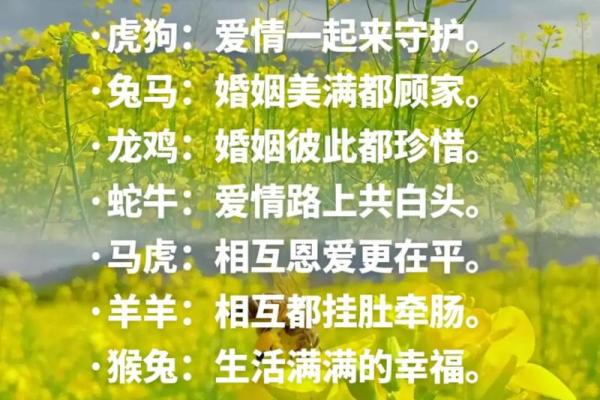 鼠狗生肖配对姻缘合适吗 鼠狗婚配的婚姻如何？