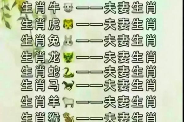 十二生肖配对表年龄