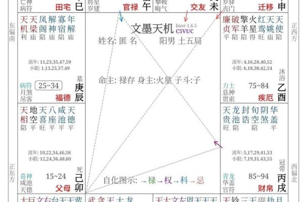 紫薇斗数求解盘
