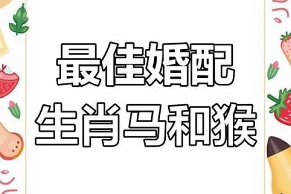 婚姻属相配对查询属马 哪些属相与属马最相配