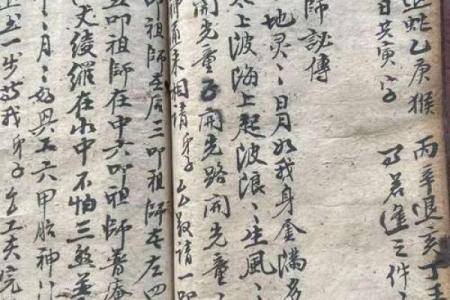 正宗杨公风水_杨救贫和赖布衣谁厉害