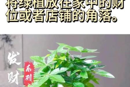 舒服又聚财，这些家居风水要学