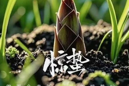 古人选择吉日为什么不选惊蛰那天,这是什么意思